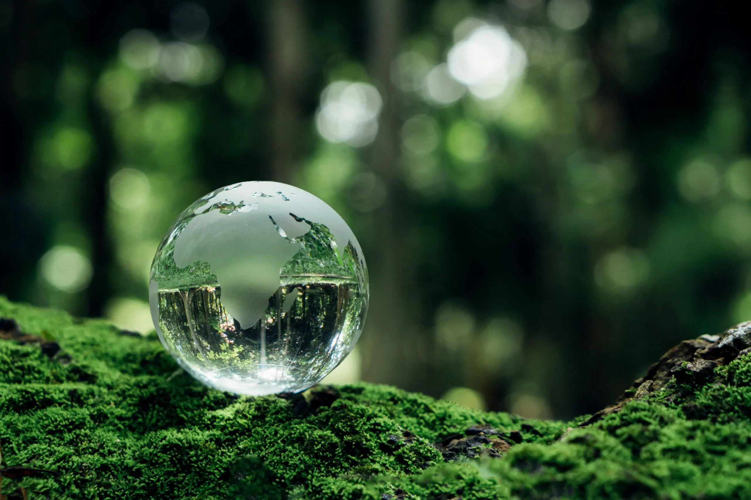 Glass globe with map of earth on a mossy tree branch with a blurred background.